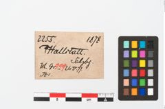 Etikett zu Bronzevogelkopffibel (NHMW-PRAE-002255)